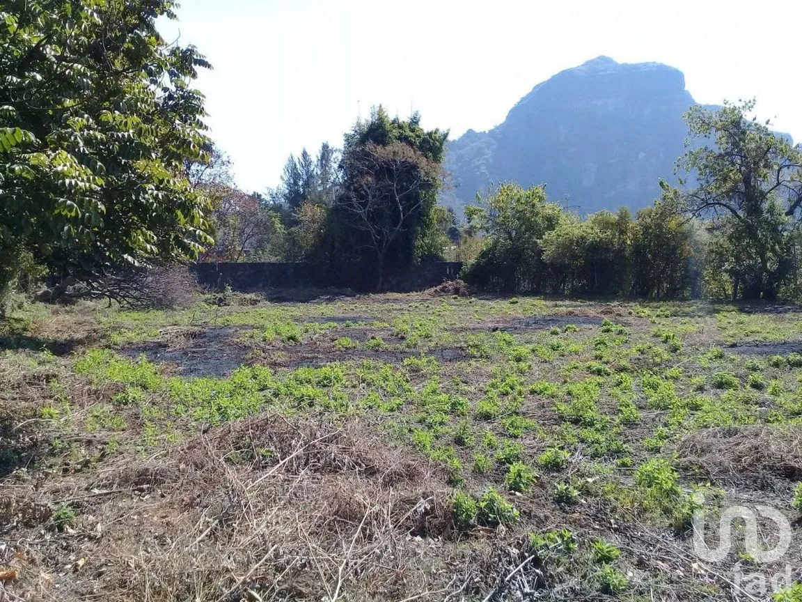Terreno en Venta en Huachinantilla, Tepoztlán, Morelos | NEX-275146 | iad México | Foto 6 de 9
