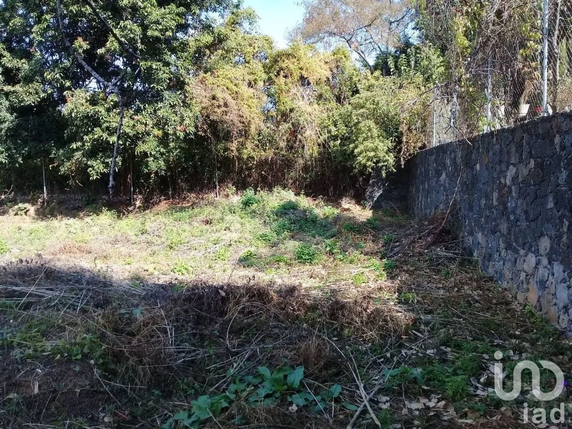 Terreno en Venta en Huachinantilla, Tepoztlán, Morelos | NEX-275146 | iad México | Foto 7 de 9