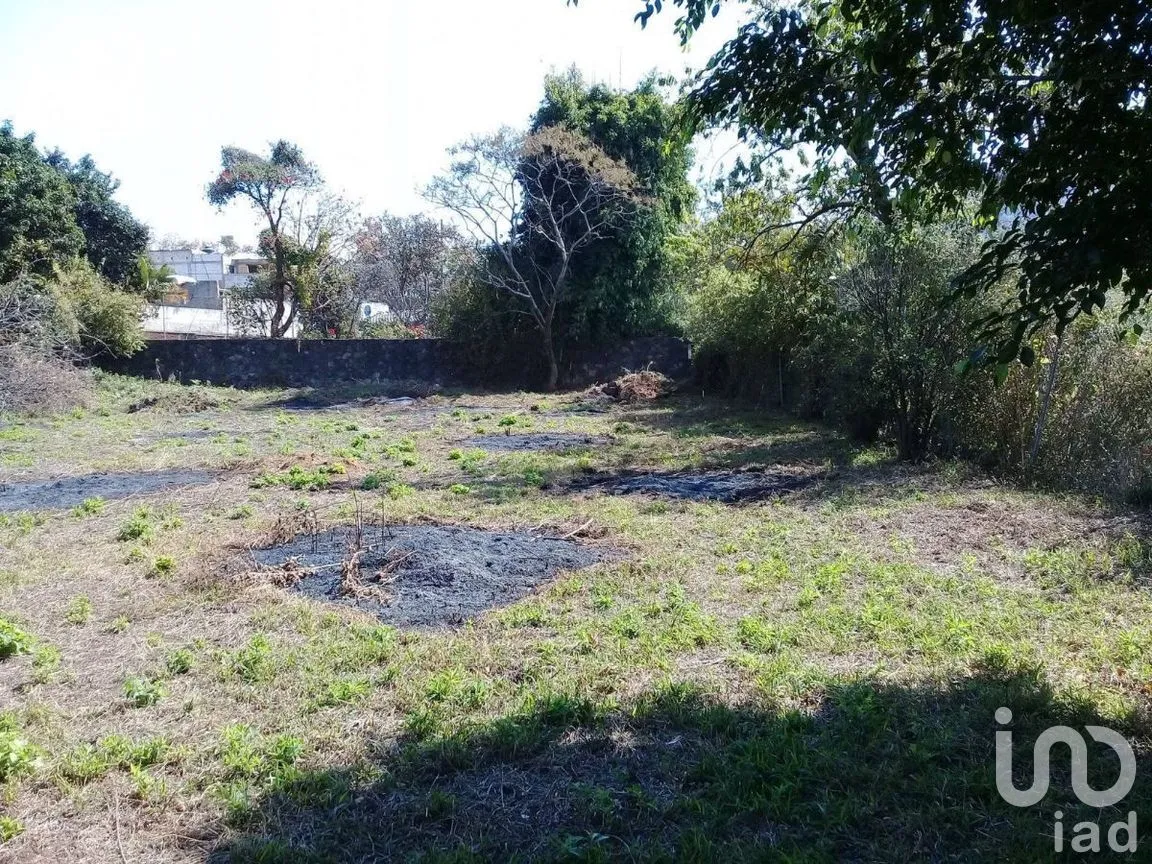 Terreno en Venta en Huachinantilla, Tepoztlán, Morelos | NEX-275146 | iad México | Foto 8 de 9