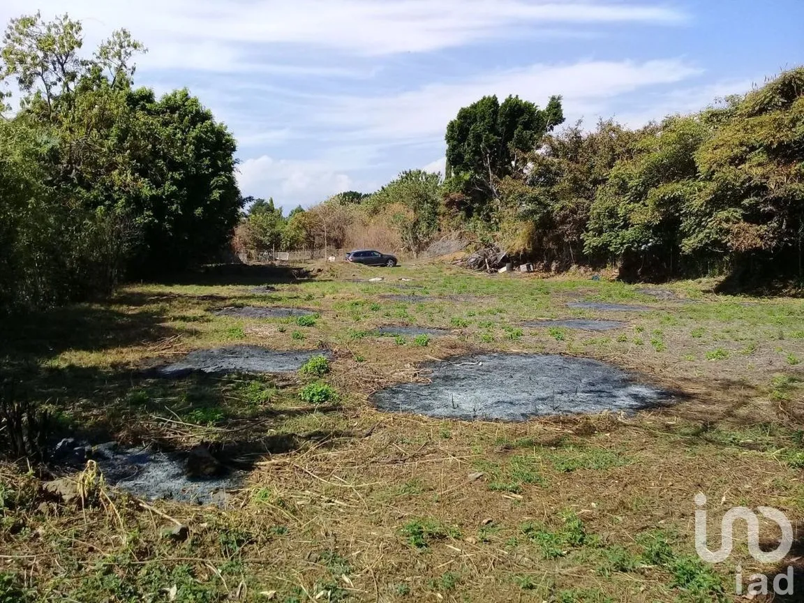 Terreno en Venta en Huachinantilla, Tepoztlán, Morelos | NEX-275146 | iad México | Foto 9 de 9