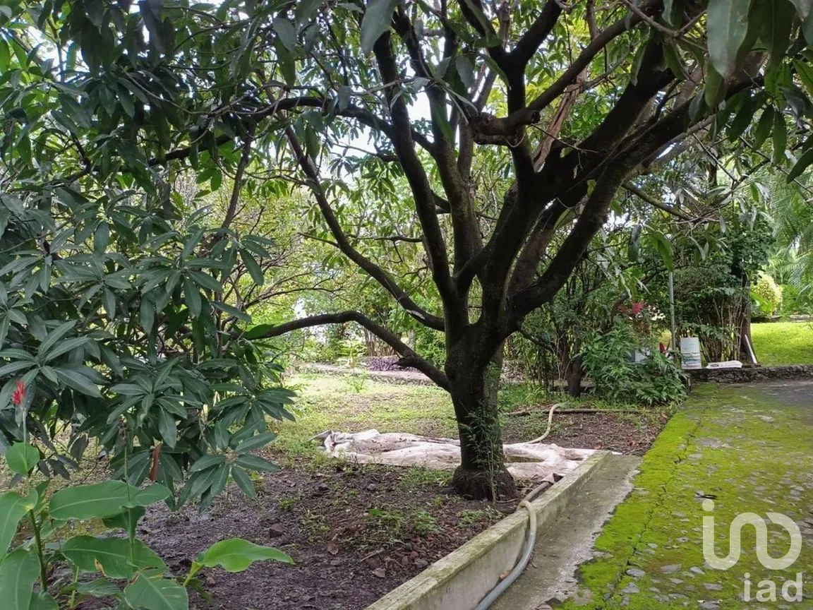 Casa en Venta en Tezoyuca, Emiliano Zapata, Morelos | NEX-275158 | iad México | Foto 8 de 14