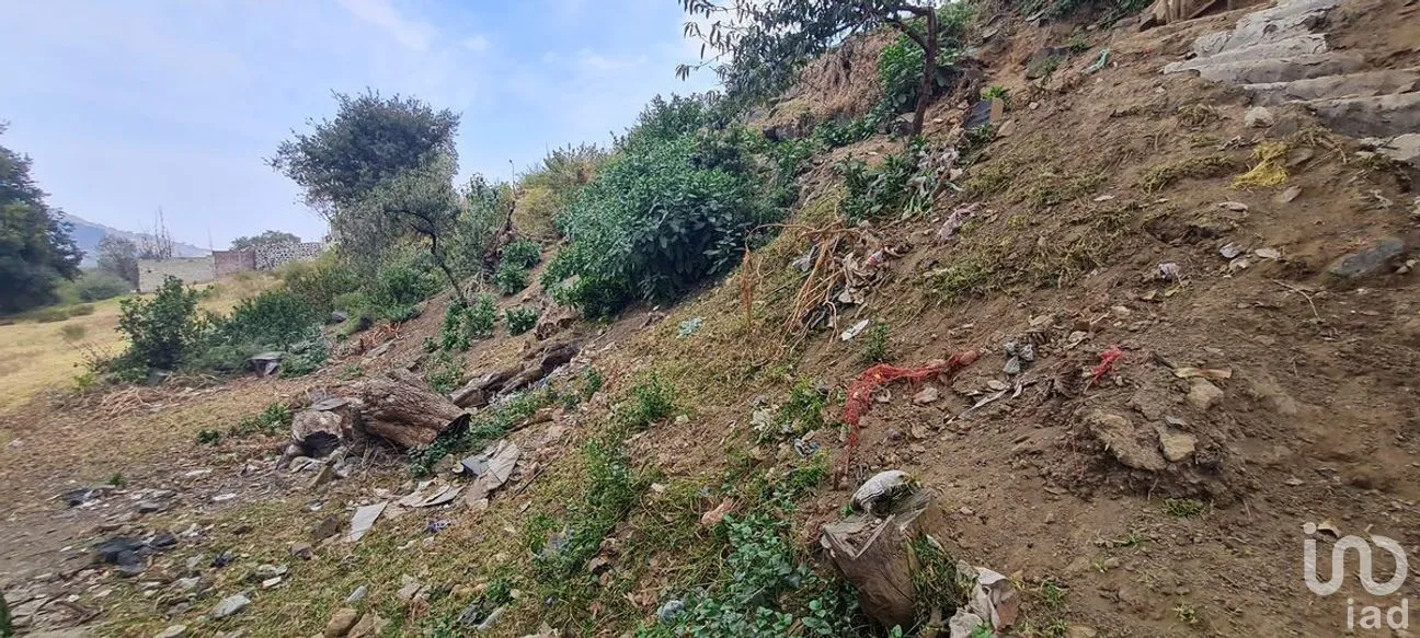 Terreno en Venta en San Miguel Topilejo, Tlalpan, Ciudad de México | NEX-275163 | iad México | Foto 13 de 40
