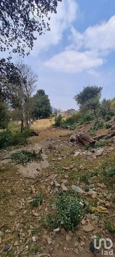 Terreno en Venta en San Miguel Topilejo, Tlalpan, Ciudad de México | NEX-275163 | iad México | Foto 17 de 40