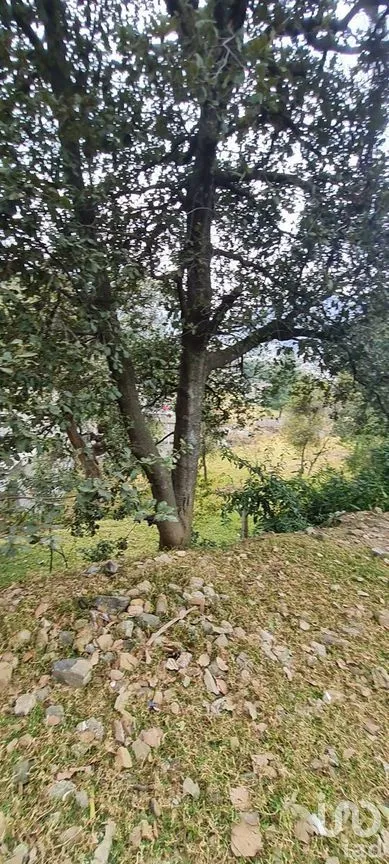 Terreno en Venta en San Miguel Topilejo, Tlalpan, Ciudad de México | NEX-275163 | iad México | Foto 18 de 40