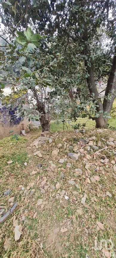 Terreno en Venta en San Miguel Topilejo, Tlalpan, Ciudad de México | NEX-275163 | iad México | Foto 19 de 40