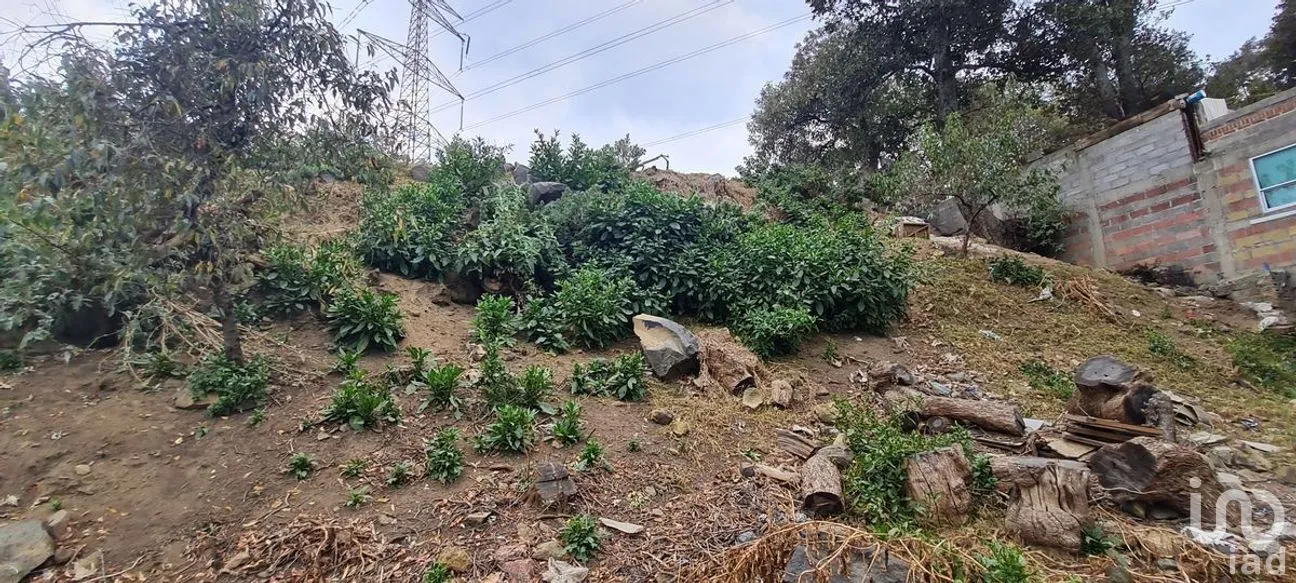 Terreno en Venta en San Miguel Topilejo, Tlalpan, Ciudad de México | NEX-275163 | iad México | Foto 23 de 40