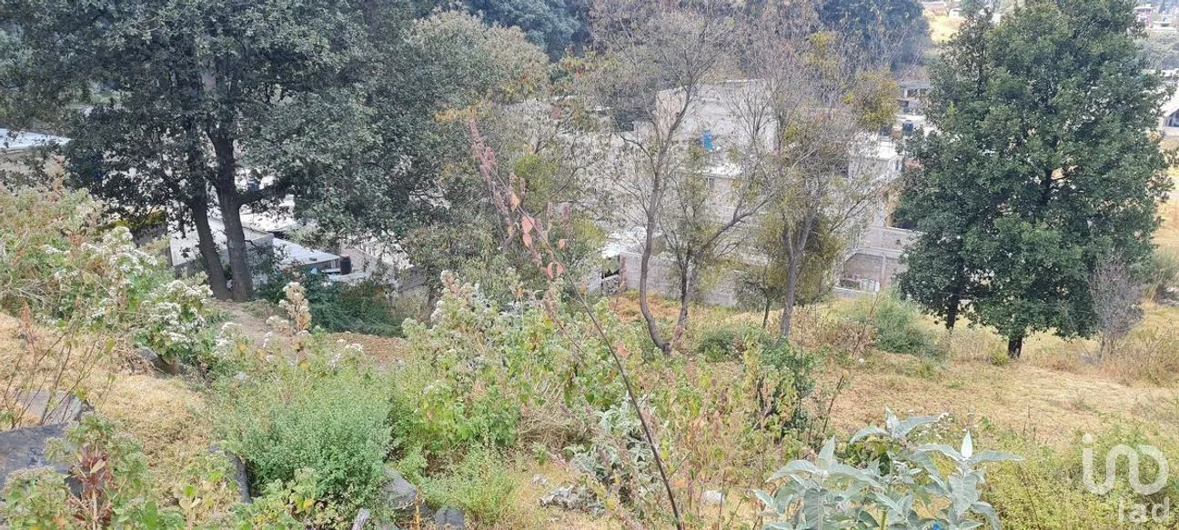 Terreno en Venta en San Miguel Topilejo, Tlalpan, Ciudad de México | NEX-275163 | iad México | Foto 40 de 40