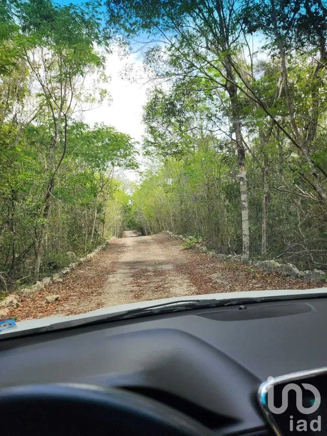 Terreno en Venta en Ciudad Chemuyil, Tulum, Quintana Roo | NEX-278221 | iad México | Foto 2 de 8
