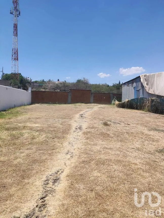 Terreno en Venta en Paraíso Country Club, Emiliano Zapata, Morelos | NEX-282008 | iad México | Foto 7 de 10