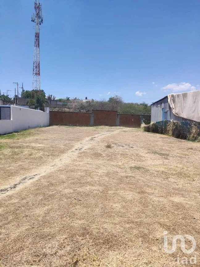 Terreno en Venta en Paraíso Country Club, Emiliano Zapata, Morelos | NEX-282008 | iad México | Foto 8 de 10