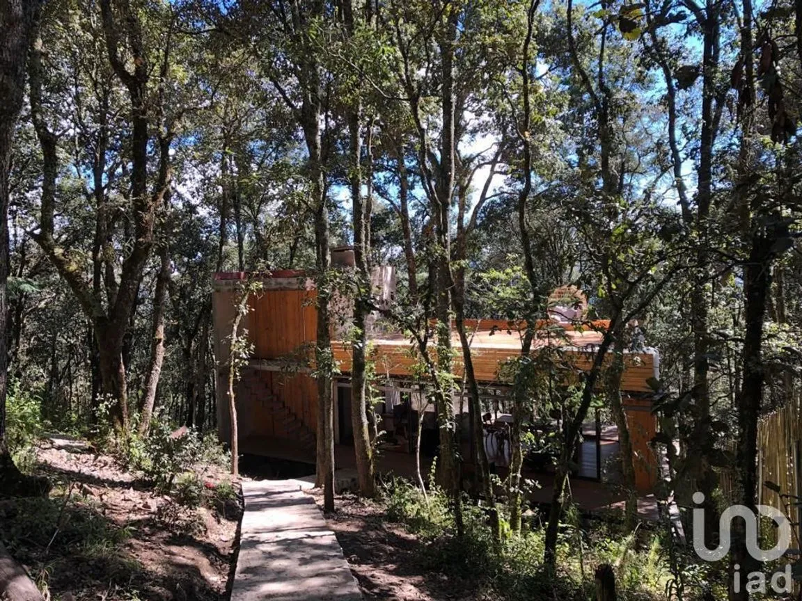 Casa en Venta en Bosques de San Cayetano, Mineral del Monte, Hidalgo | NEX-152354 | iad México | Foto 13 de 18
