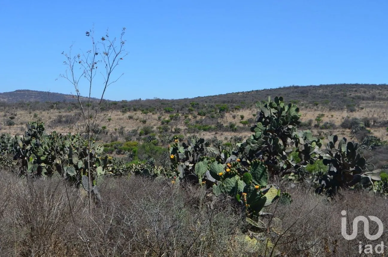Terreno en Venta en Palmillas, San Juan del Río, Querétaro | NEX-227405 | iad México | Foto 12 de 18