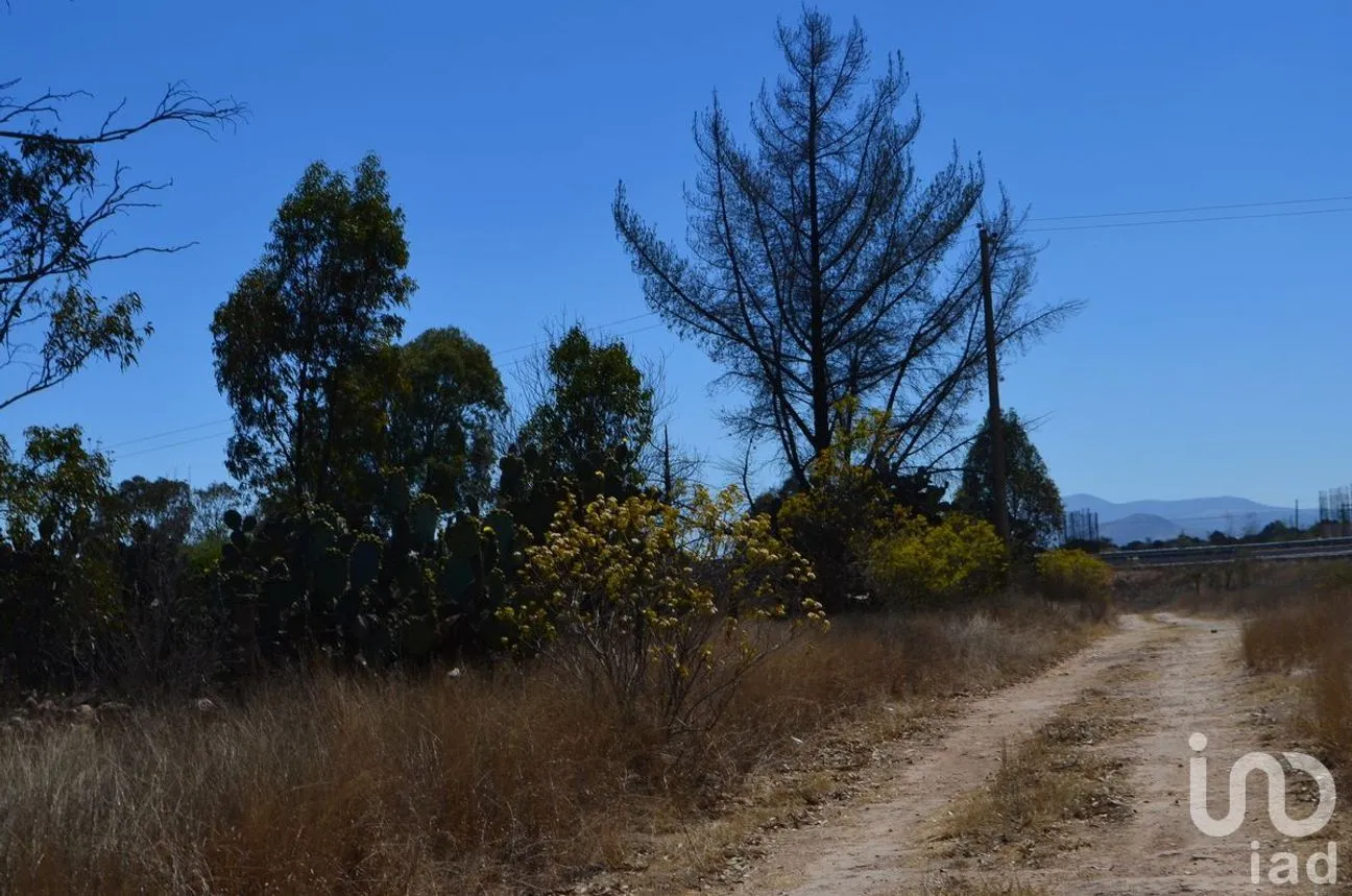 Terreno en Venta en Palmillas, San Juan del Río, Querétaro | NEX-227405 | iad México | Foto 14 de 18