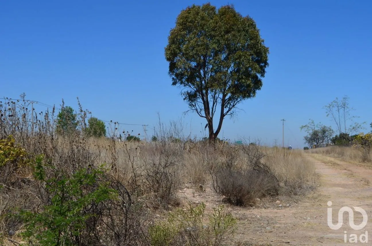 Terreno en Venta en Palmillas, San Juan del Río, Querétaro | NEX-227405 | iad México | Foto 18 de 18