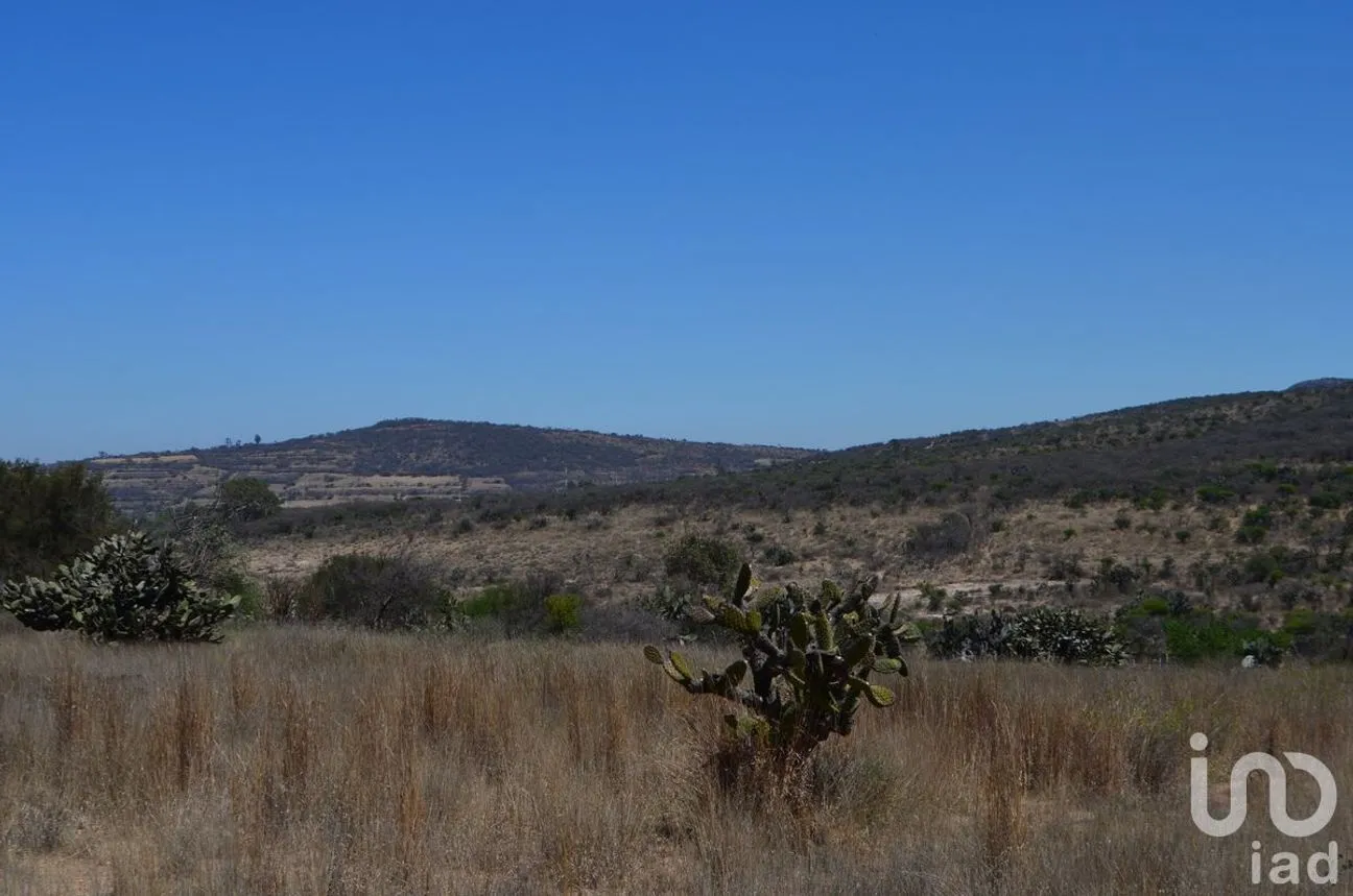 Terreno en Venta en Palmillas, San Juan del Río, Querétaro | NEX-227405 | iad México | Foto 4 de 18