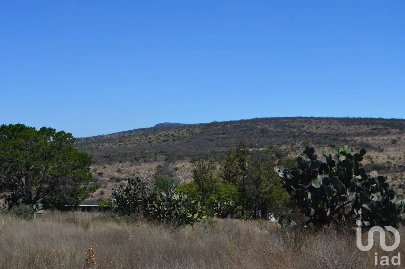 Terreno en Venta en Palmillas, San Juan del Río, Querétaro | NEX-227405 | iad México | Foto 5 de 18