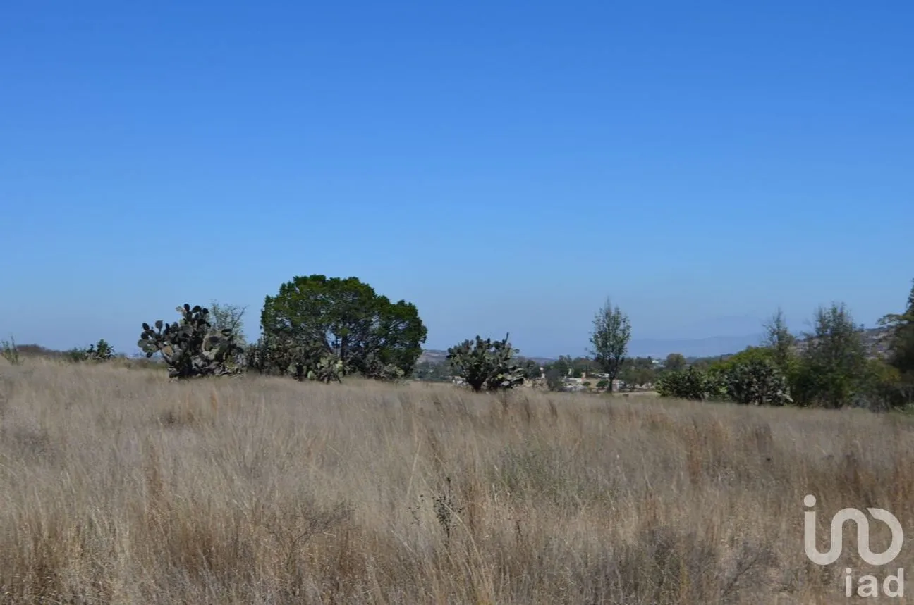 Terreno en Venta en Palmillas, San Juan del Río, Querétaro | NEX-227405 | iad México | Foto 6 de 18