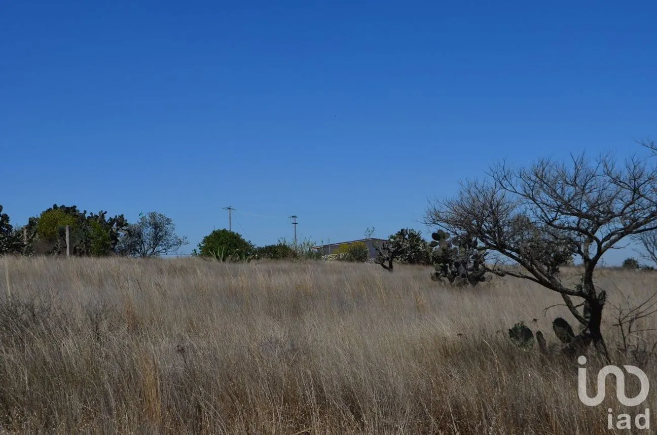 Terreno en Venta en Palmillas, San Juan del Río, Querétaro | NEX-227405 | iad México | Foto 7 de 18