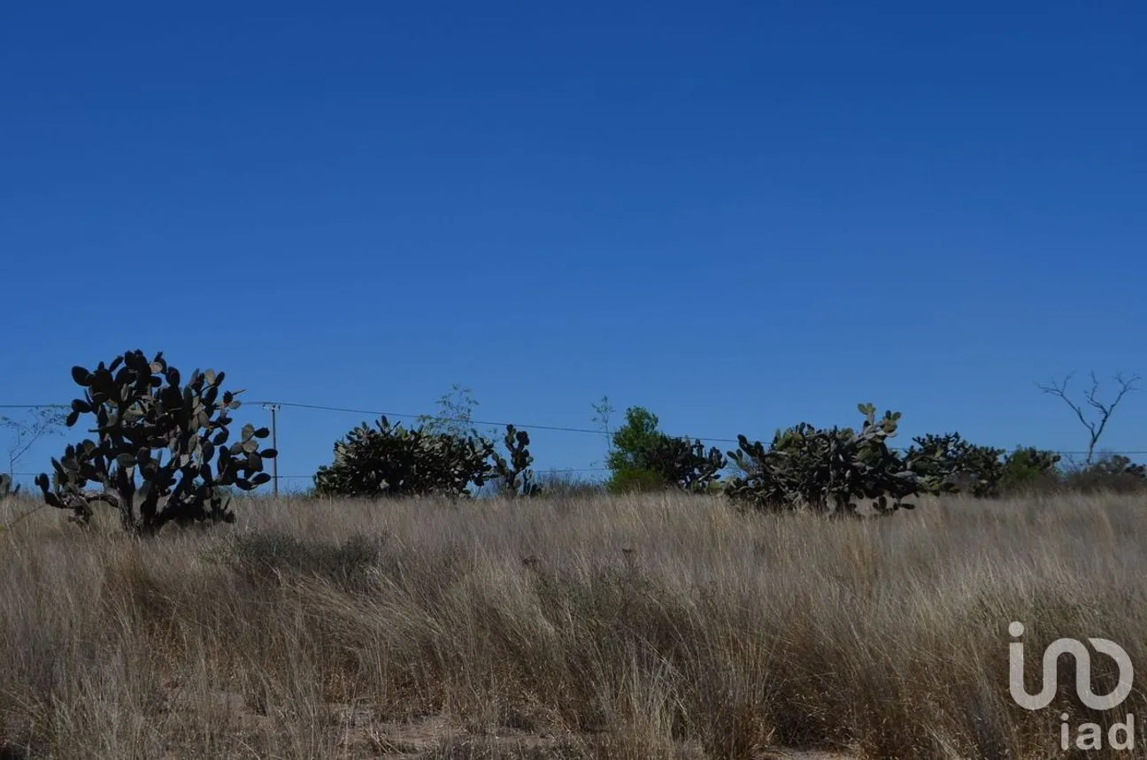 Terreno en Venta en Palmillas, San Juan del R ío, Querétaro | NEX-227405 | iad México | Foto 8 de 18