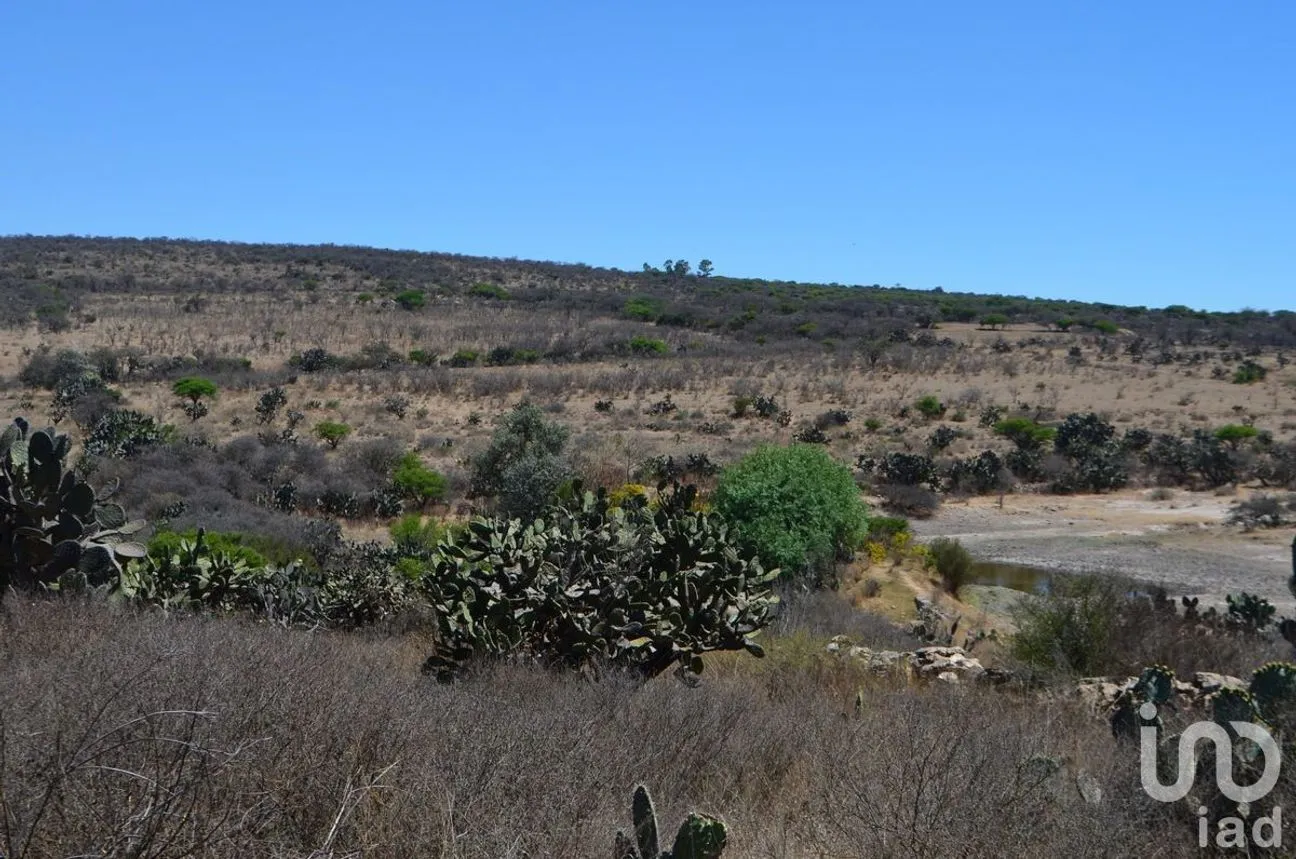 Terreno en Venta en Palmillas, San Juan del Río, Querétaro | NEX-227405 | iad México | Foto 10 de 18
