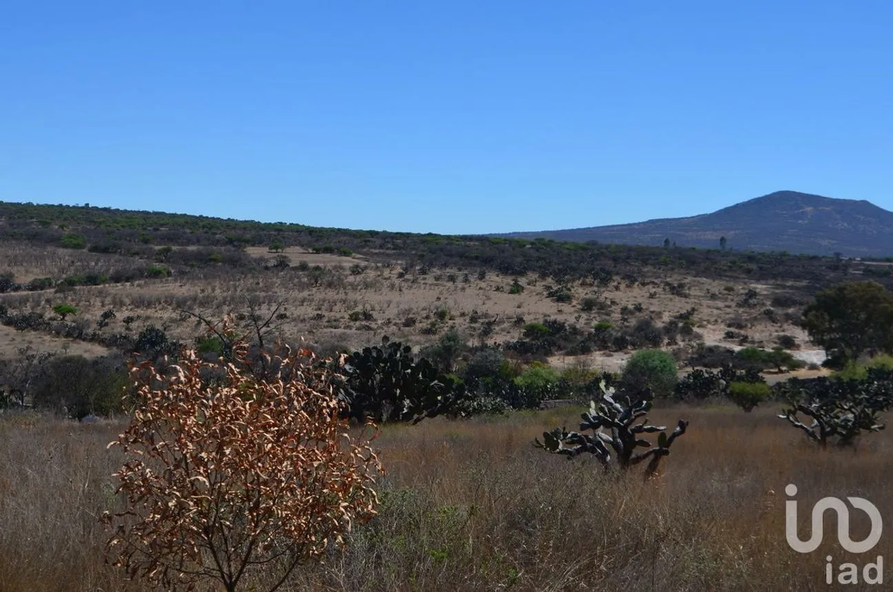 Terreno en Venta en Palmillas, San Juan del Río, Querétaro | NEX-227405 | iad México | Foto 1 de 18