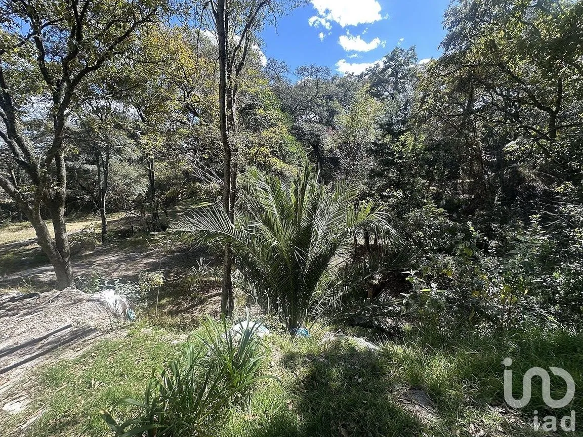 Casa en Venta en El Trafico, Nicolás Romero, Estado de México | NEX-291341 | iad México | Foto 3 de 7