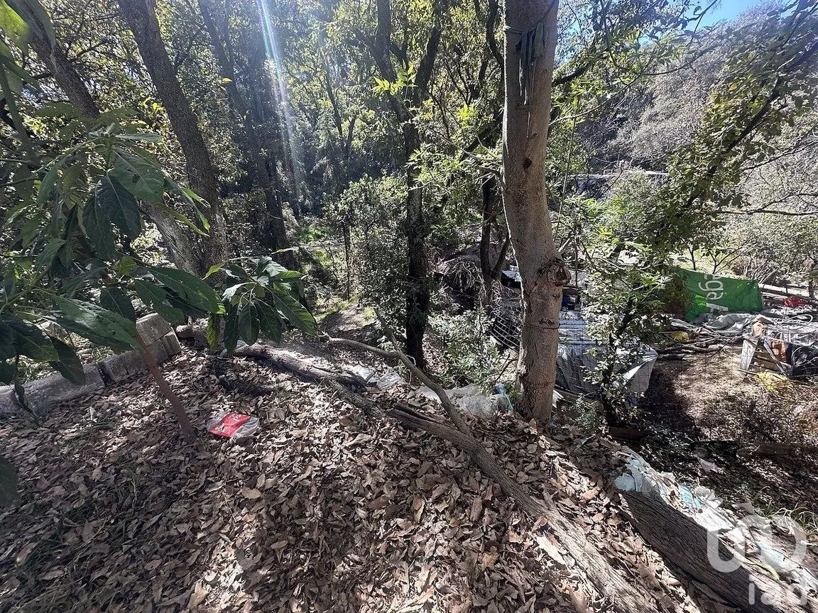 Casa en Venta en El Trafico, Nicolás Romero, Estado de México | NEX-291341 | iad México | Foto 7 de 7