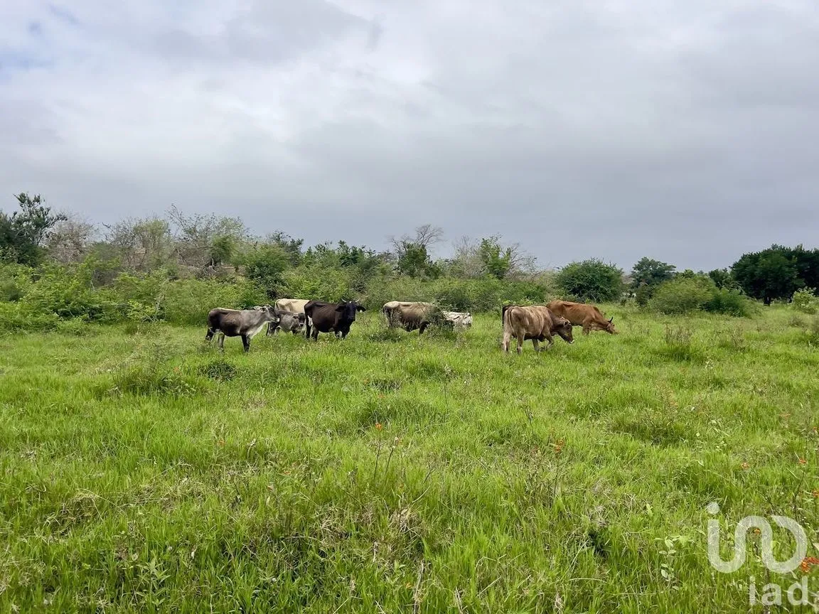 Terreno en Venta en Tomatlan, Tomatlán, Jalisco | NEX-227148 | iad México | Foto 2 de 12