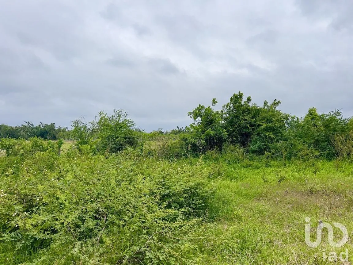 Terreno en Venta en Tomatlan, Tomatlán, Jalisco | NEX-227148 | iad México | Foto 11 de 12
