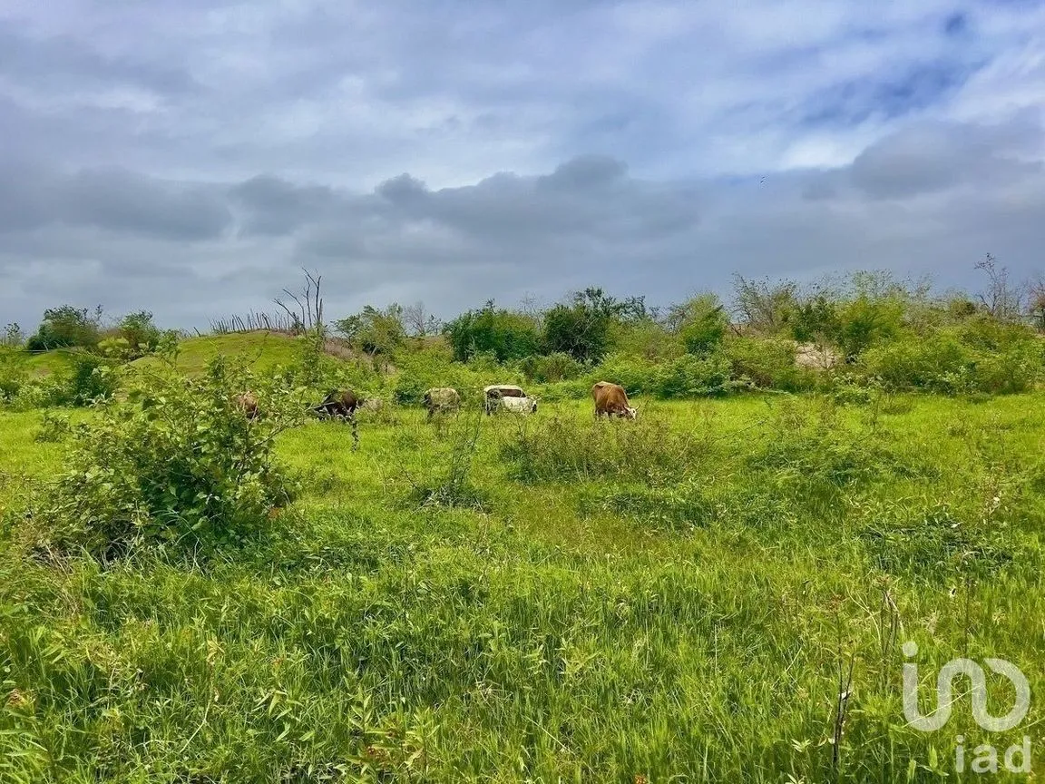Terreno en Venta en Tomatlan, Tomatlán, Jalisco | NEX-227148 | iad México | Foto 12 de 12
