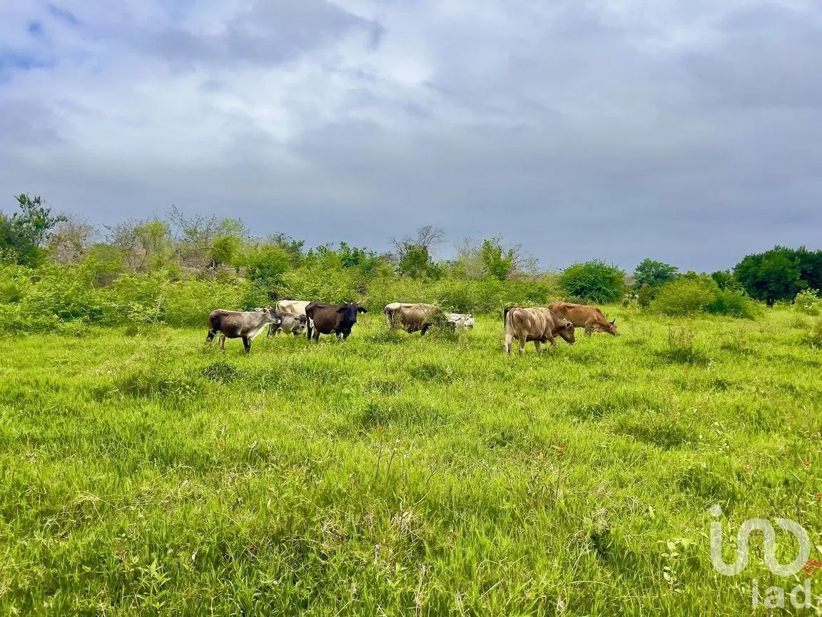 Terreno en Venta en Tomatlan, Tomatlán, Jalisco | NEX-227148 | iad México | Foto 4 de 12