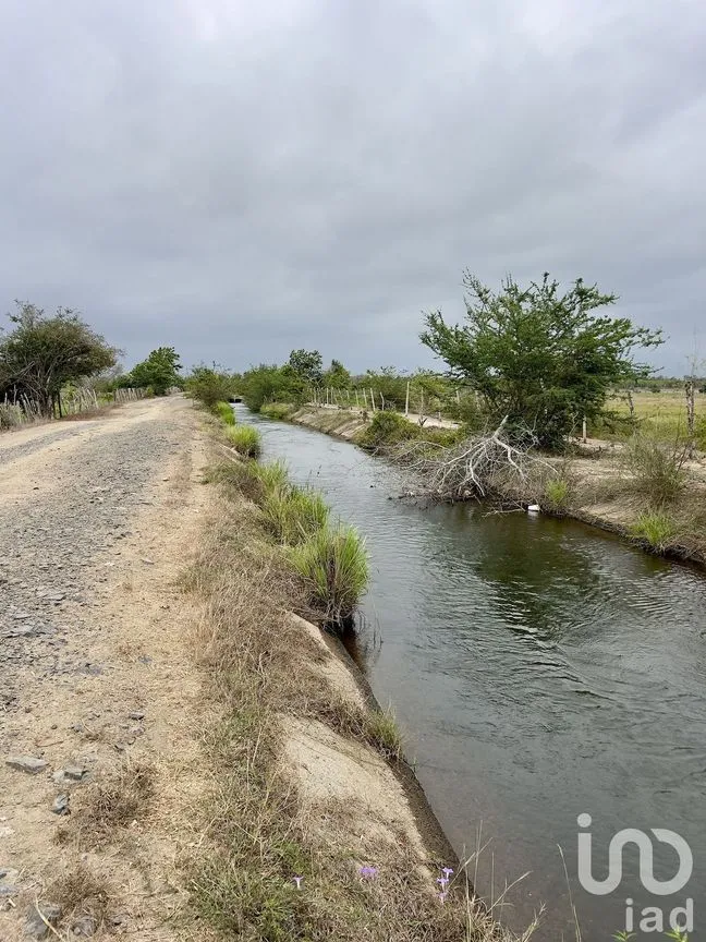 Terreno en Venta en Tomatlan, Tomatlán, Jalisco | NEX-227148 | iad México | Foto 6 de 12