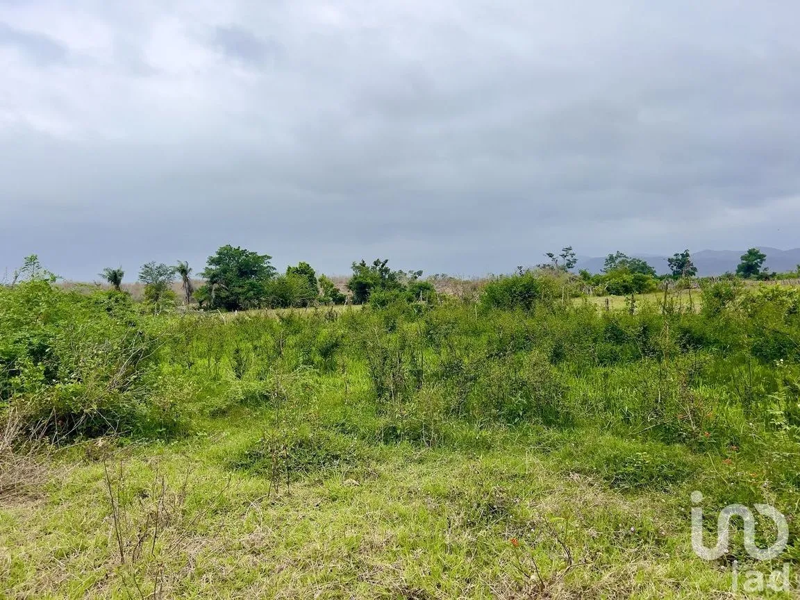Terreno en Venta en Tomatlan, Tomatlán, Jalisco | NEX-227148 | iad México | Foto 8 de 12