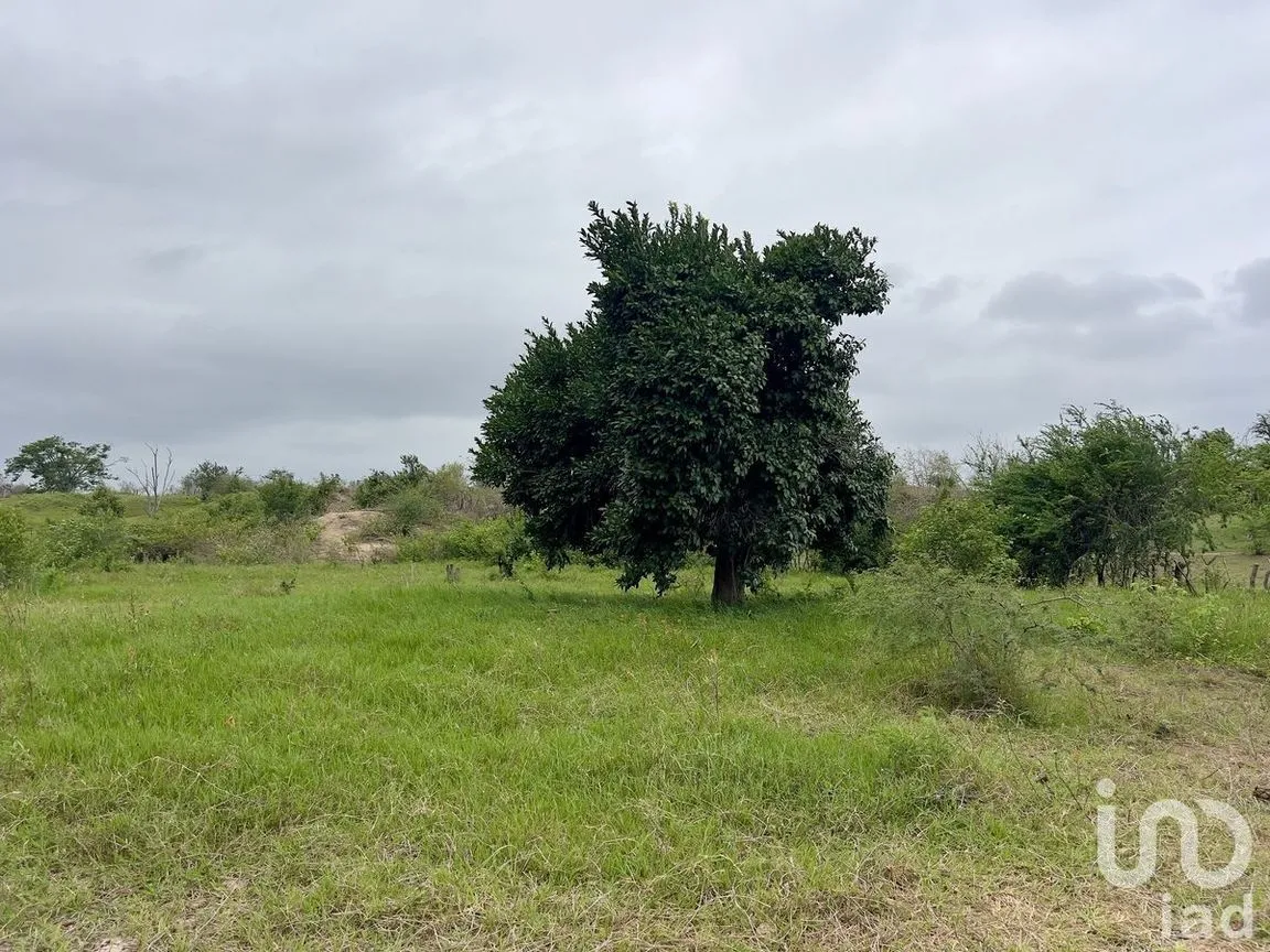 Terreno en Venta en Tomatlan, Tomatlán, Jalisco | NEX-227148 | iad México | Foto 9 de 12