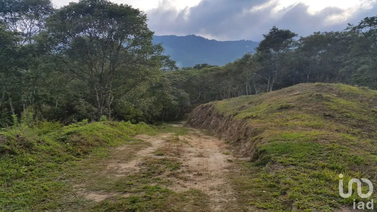 Terreno en Venta en El Tuito, Cabo Corrientes, Jalisco | NEX-227149 | iad México | Foto 2 de 10