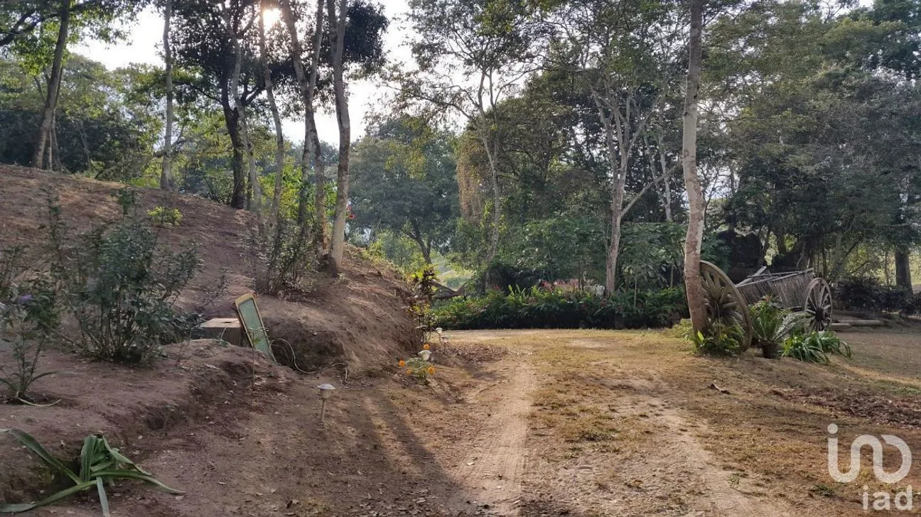 Terreno en Venta en El Tuito, Cabo Corrientes, Jalisco | NEX-227149 | iad México | Foto 5 de 10