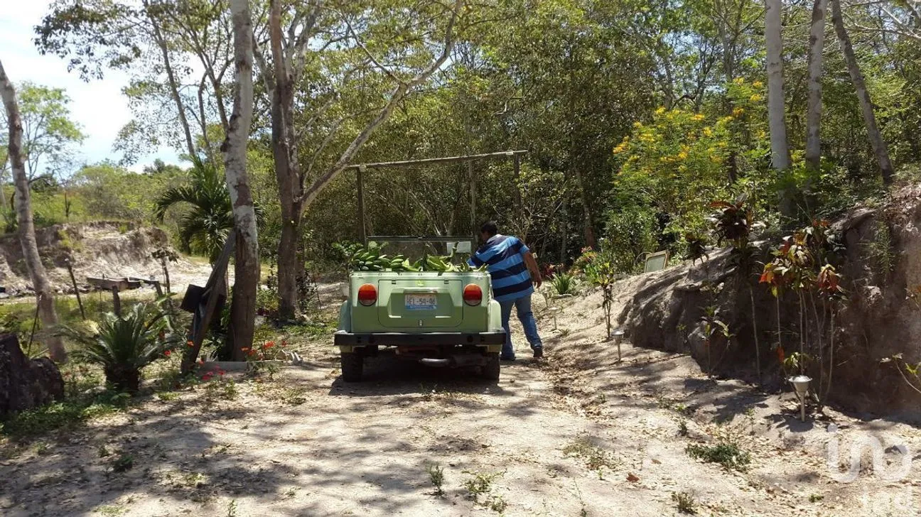 Terreno en Venta en El Tuito, Cabo Corrientes, Jalisco | NEX-227149 | iad México | Foto 6 de 10