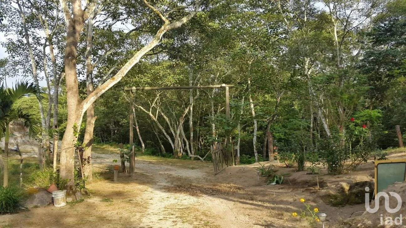Terreno en Venta en El Tuito, Cabo Corrientes, Jalisco | NEX-227149 | iad México | Foto 7 de 10