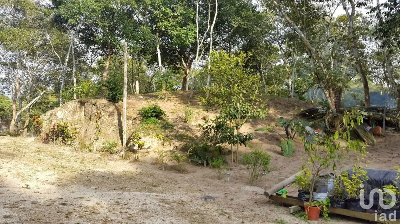 Terreno en Venta en El Tuito, Cabo Corrientes, Jalisco | NEX-227149 | iad México | Foto 8 de 10