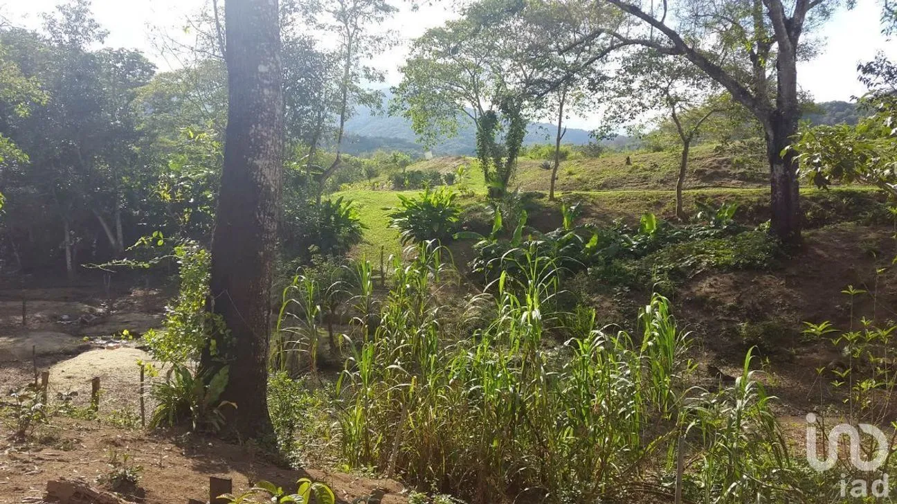 Terreno en Venta en El Tuito, Cabo Corrientes, Jalisco | NEX-227149 | iad México | Foto 9 de 10