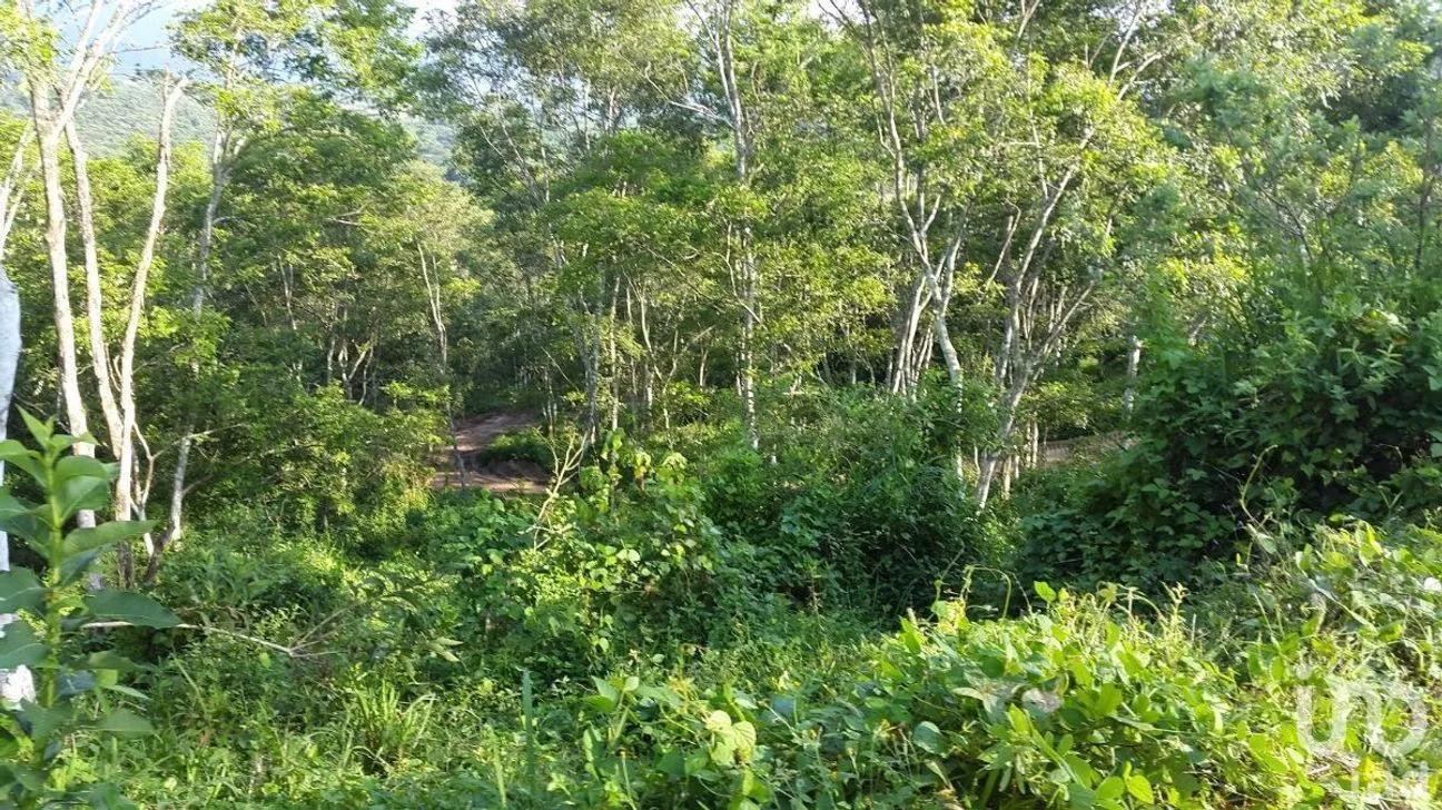 Terreno en Venta en El Tuito, Cabo Corrientes, Jalisco | NEX-227149 | iad México | Foto 10 de 10