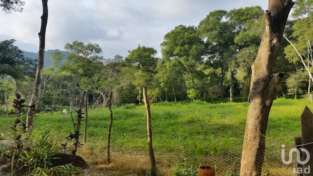 Terreno en Venta en El Tuito, Cabo Corrientes, Jalisco | NEX-227149 | iad México | Foto 1 de 10