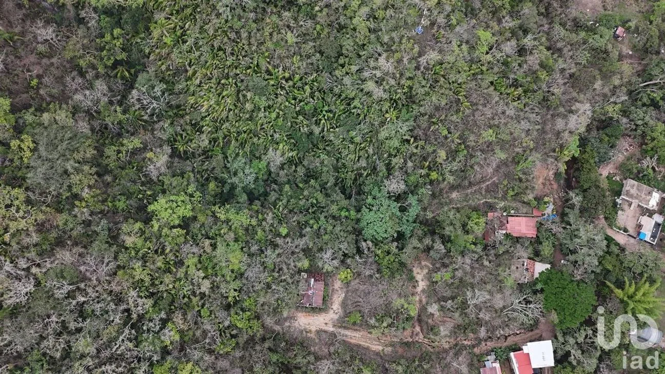 Terreno en Venta en El Tuito, Cabo Corrientes, Jalisco | NEX-227150 | iad México | Foto 3 de 4