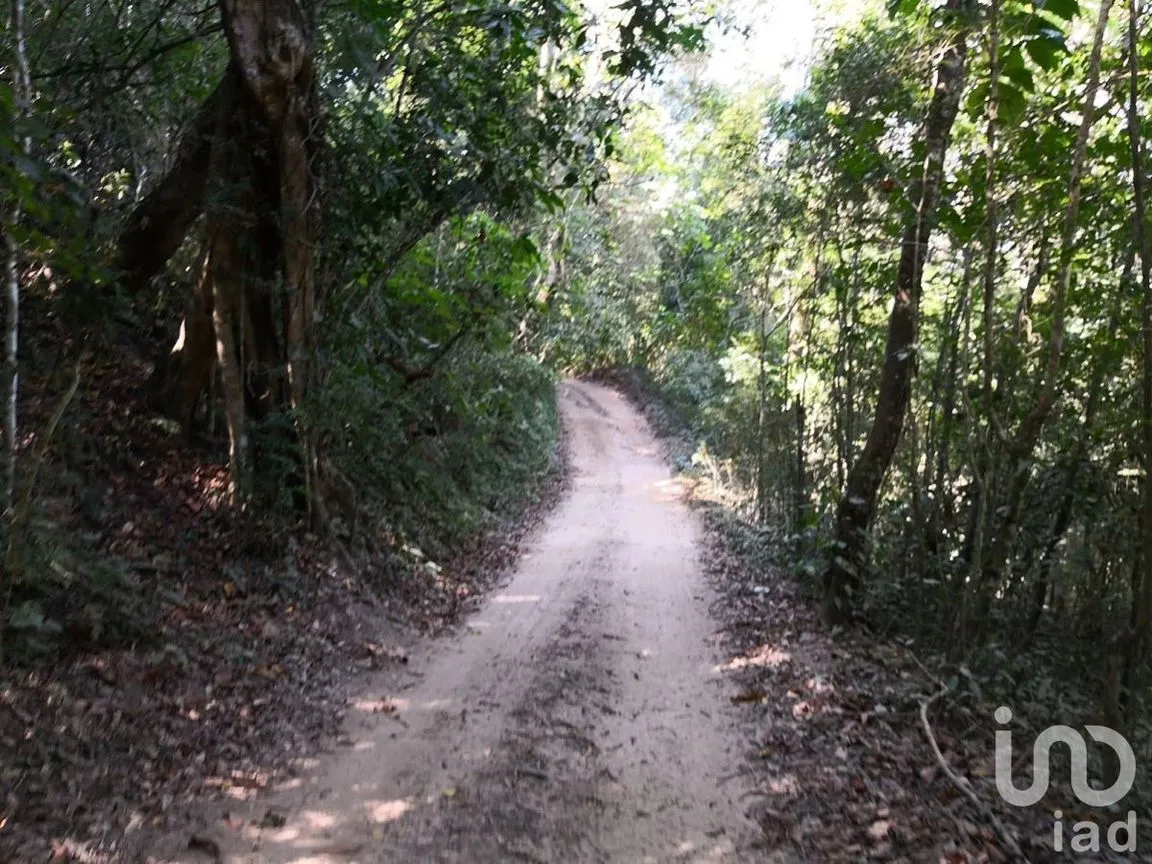 Terreno en Venta en El Tuito, Cabo Corrientes, Jalisco | NEX-227151 | iad México | Foto 4 de 12