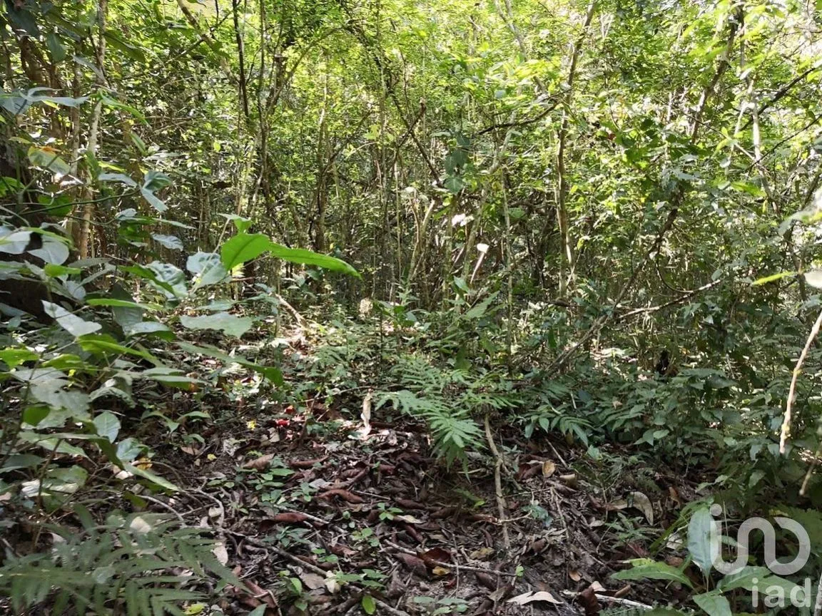 Terreno en Venta en El Tuito, Cabo Corrientes, Jalisco | NEX-227151 | iad México | Foto 5 de 12