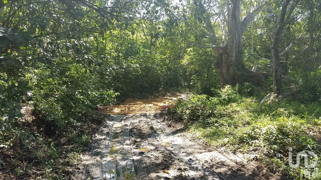 Terreno en Venta en El Tuito, Cabo Corrientes, Jalisco | NEX-227151 | iad México | Foto 6 de 12