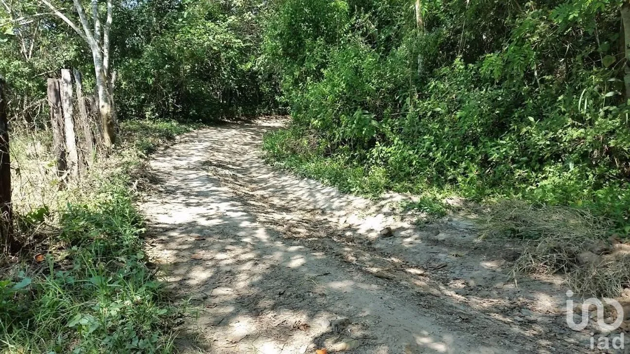Terreno en Venta en El Tuito, Cabo Corrientes, Jalisco | NEX-227151 | iad México | Foto 7 de 12