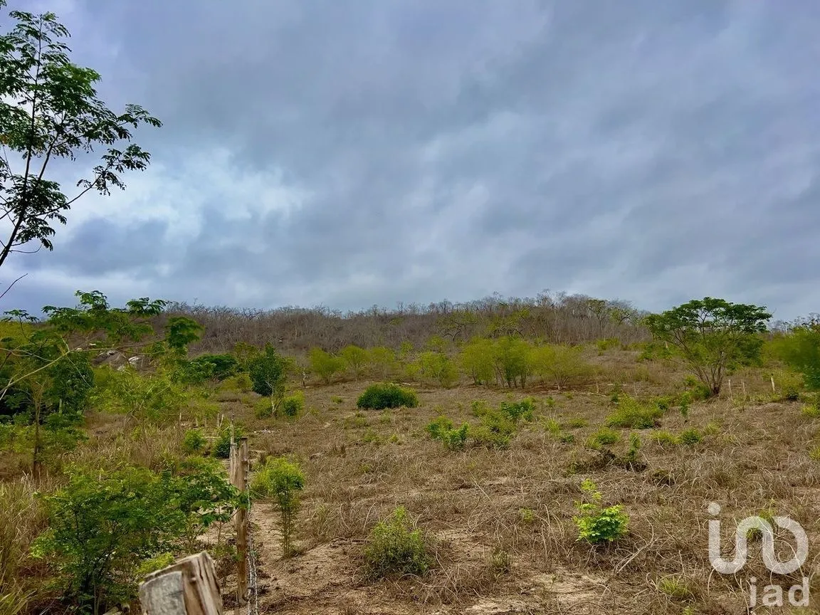 Terreno en Venta en Tomatlan, Tomatlán, Jalisco | NEX-231658 | iad México | Foto 2 de 17