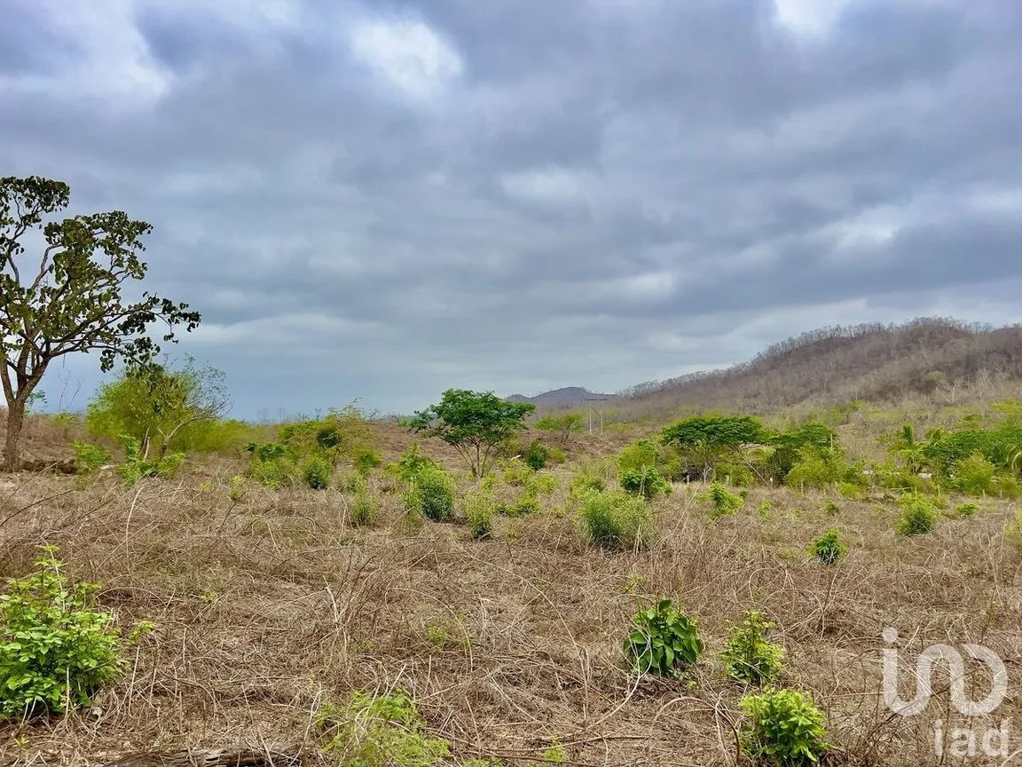 Terreno en Venta en Tomatlan, Tomatlán, Jalisco | NEX-231658 | iad México | Foto 12 de 17