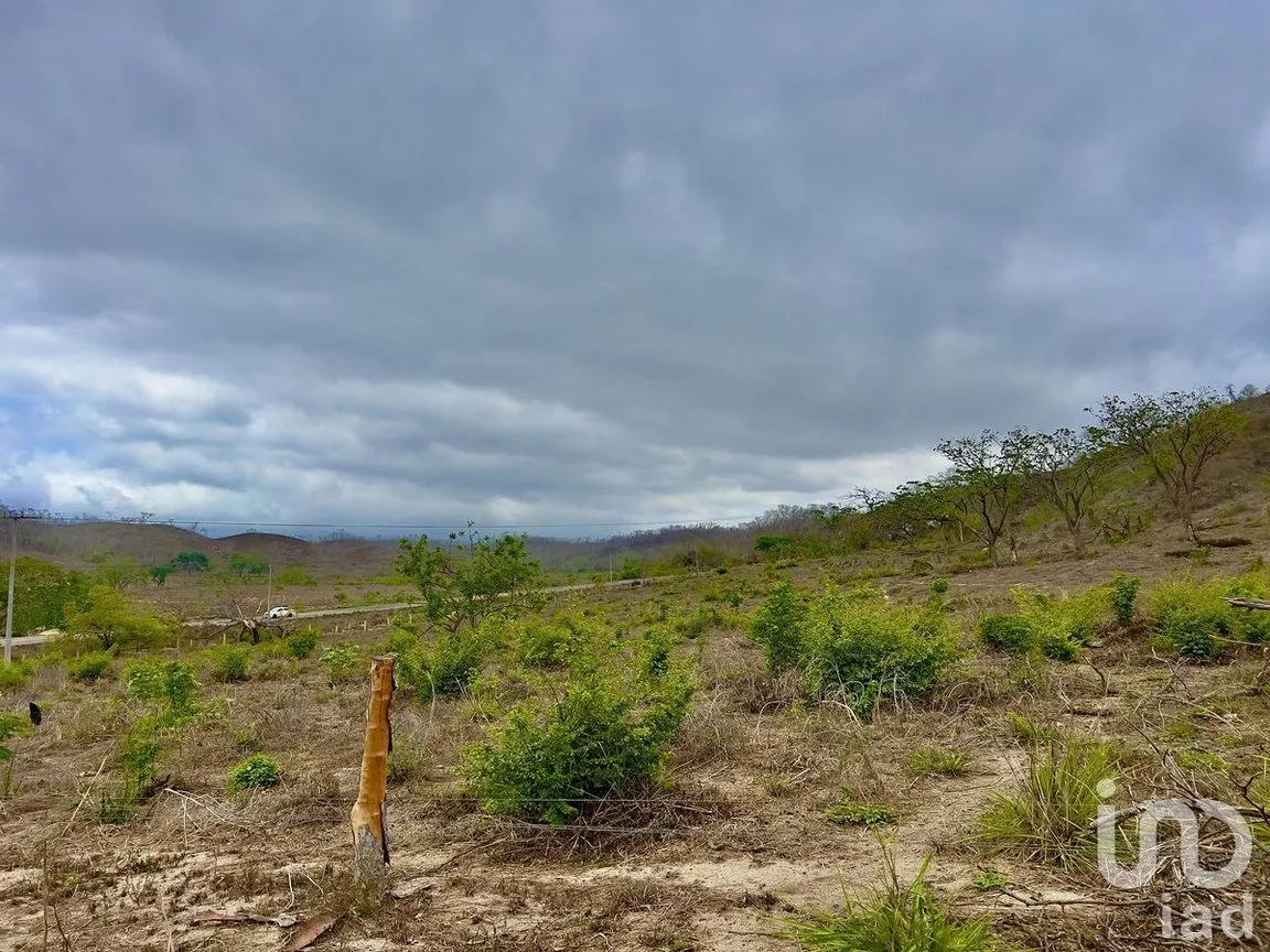 Terreno en Venta en Tomatlan, Tomatlán, Jalisco | NEX-231658 | iad México | Foto 13 de 17